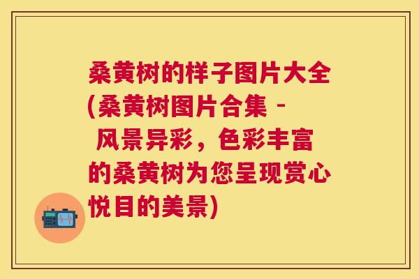 桑黄树的样子图片大全(桑黄树图片合集 - 风景异彩,色彩丰富的桑黄树为您呈现赏心悦目的美景) 桑黄树的样子图片大全(桑黄树图片合集 - 风景异彩,色彩丰富的桑黄树为您呈现赏心悦目的美景)