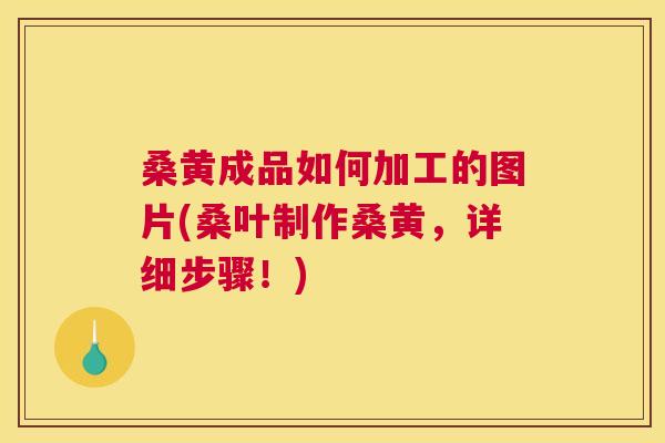 桑黄成品如何加工的图片(桑叶制作桑黄,详细步骤!) 桑黄成品如何加工的图片(桑叶制作桑黄,详细步骤!)