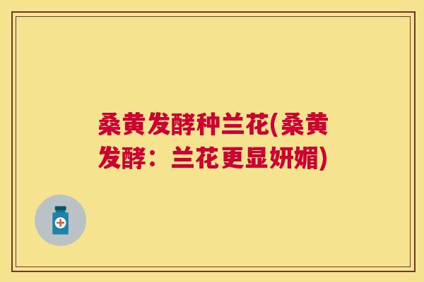 桑黄发酵种兰花(桑黄发酵:兰花更显妍媚) 桑黄发酵种兰花(桑黄发酵:兰花更显妍媚)