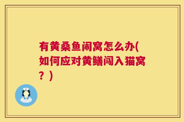 有黄桑鱼闹窝怎么办(如何应对黄鳝闯入猫窝?) 有黄桑鱼闹窝怎么办(如何应对黄鳝闯入猫窝?)