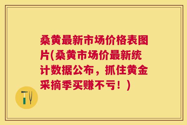 桑黄新市场价格表图片(桑黄市场价新统计数据公布,抓住黄金采摘季买赚不亏!) 桑黄新市场价格表图片(桑黄市场价新统计数据公布,抓住黄金采摘季买赚不亏!)