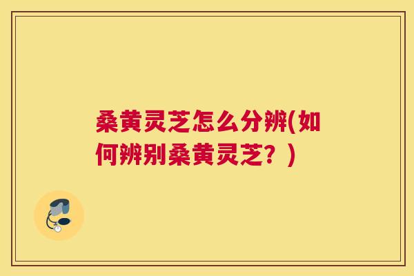 桑黄灵芝怎么分辨(如何辨别桑黄灵芝?) 桑黄灵芝怎么分辨(如何辨别桑黄灵芝?)
