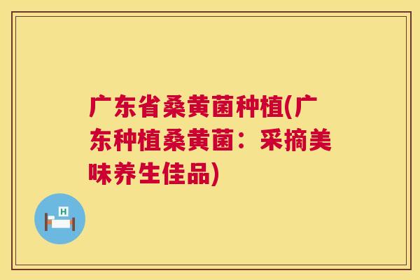 广东省桑黄菌种植(广东种植桑黄菌:采摘美味养生佳品) 广东省桑黄菌种植(广东种植桑黄菌:采摘美味养生佳品)