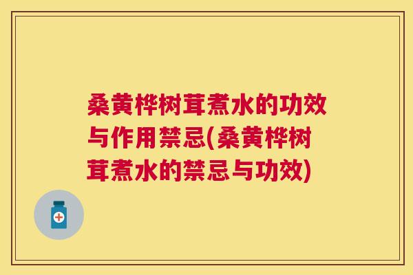 桑黄桦树茸煮水的功效与作用禁忌(桑黄桦树茸煮水的禁忌与功效) 桑黄桦树茸煮水的功效与作用禁忌(桑黄桦树茸煮水的禁忌与功效)