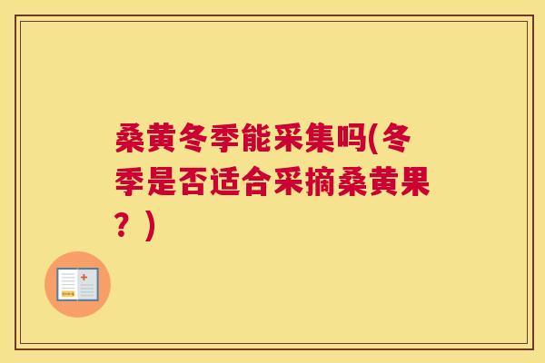 桑黄冬季能采集吗(冬季是否适合采摘桑黄果?) 桑黄冬季能采集吗(冬季是否适合采摘桑黄果?)