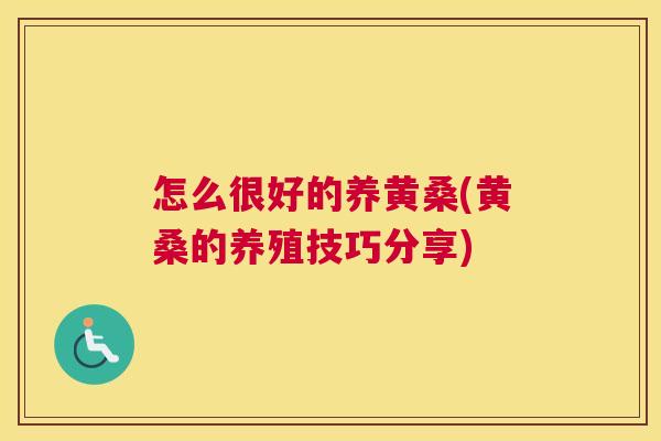 怎么很好的养黄桑(黄桑的养殖技巧分享)