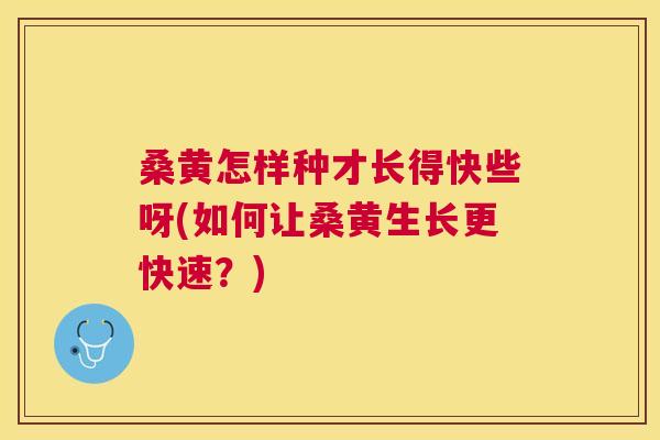 桑黄怎样种才长得快些呀(如何让桑黄生长更快速?) 桑黄怎样种才长得快些呀(如何让桑黄生长更快速?)