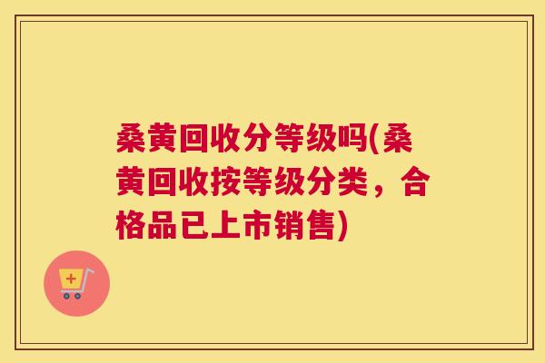 桑黄回收分等级吗(桑黄回收按等级分类,合格品已上市销售) 桑黄回收分等级吗(桑黄回收按等级分类,合格品已上市销售)