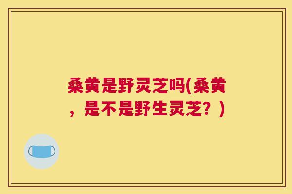 桑黄是野灵芝吗(桑黄,是不是野生灵芝?) 桑黄是野灵芝吗(桑黄,是不是野生灵芝?)