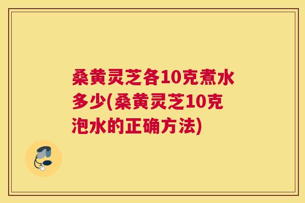 桑黄灵芝各10克煮水多少(桑黄灵芝10克泡水的正确方法) 桑黄灵芝各10克煮水多少(桑黄灵芝10克泡水的正确方法)