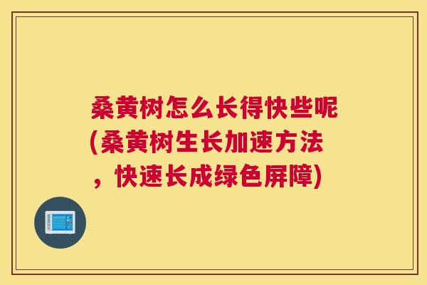 桑黄树怎么长得快些呢(桑黄树生长加速方法,快速长成绿色屏障) 桑黄树怎么长得快些呢(桑黄树生长加速方法,快速长成绿色屏障)