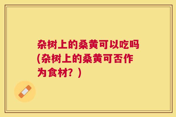 杂树上的桑黄可以吃吗(杂树上的桑黄可否作为食材？)