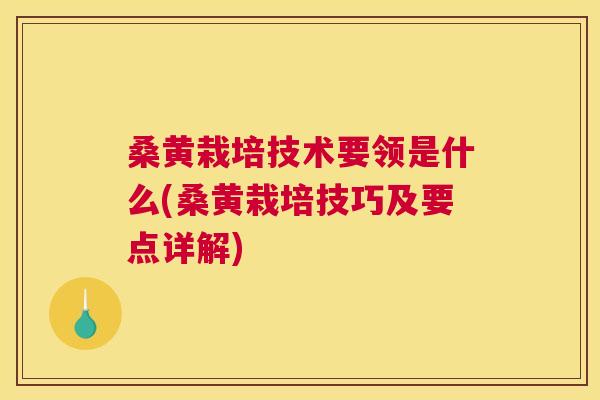 桑黄栽培技术要领是什么(桑黄栽培技巧及要点详解) 桑黄栽培技术要领是什么(桑黄栽培技巧及要点详解)