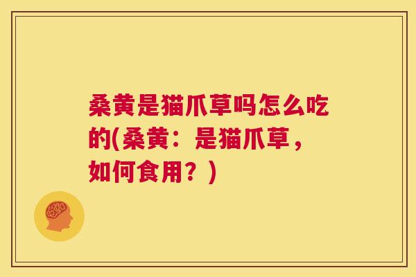 桑黄是猫爪草吗怎么吃的(桑黄:是猫爪草,如何食用?) 桑黄是猫爪草吗怎么吃的(桑黄:是猫爪草,如何食用?)