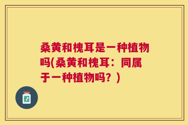 桑黄和槐耳是一种植物吗(桑黄和槐耳:同属于一种植物吗?) 桑黄和槐耳是一种植物吗(桑黄和槐耳:同属于一种植物吗?)