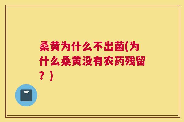 桑黄为什么不出菌(为什么桑黄没有农药残留?) 桑黄为什么不出菌(为什么桑黄没有农药残留?)