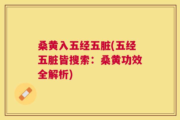 桑黄入五经五脏(五经五脏皆搜索:桑黄功效全解析) 桑黄入五经五脏(五经五脏皆搜索:桑黄功效全解析)