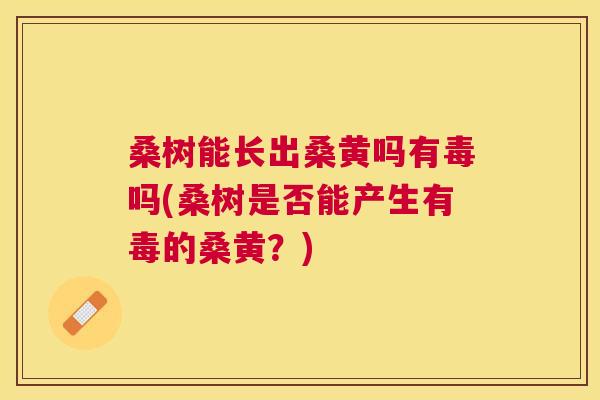 桑树能长出桑黄吗有毒吗(桑树是否能产生有毒的桑黄?) 桑树能长出桑黄吗有毒吗(桑树是否能产生有毒的桑黄?)