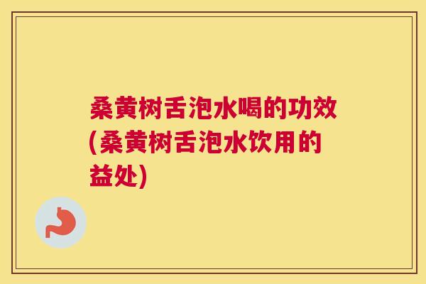 桑黄树舌泡水喝的功效(桑黄树舌泡水饮用的益处) 桑黄树舌泡水喝的功效(桑黄树舌泡水饮用的益处)