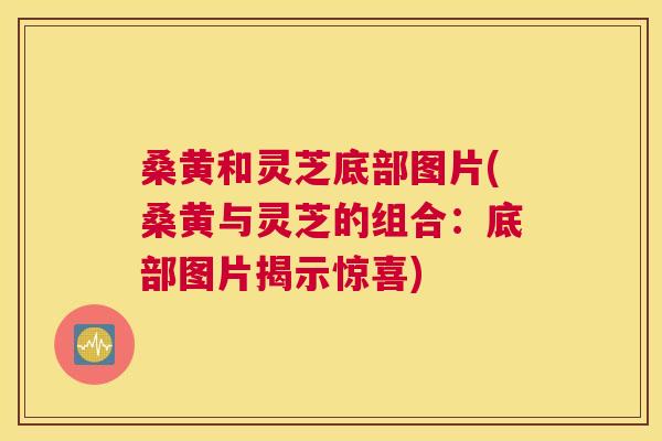 桑黄和灵芝底部图片(桑黄与灵芝的组合:底部图片揭示惊喜) 桑黄和灵芝底部图片(桑黄与灵芝的组合:底部图片揭示惊喜)