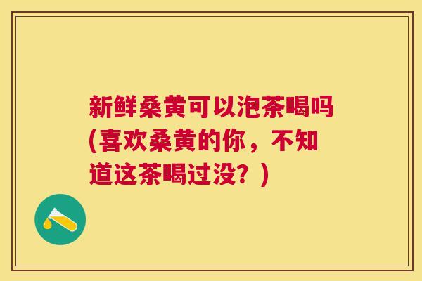 新鲜桑黄可以泡茶喝吗(喜欢桑黄的你,不知道这茶喝过没?) 新鲜桑黄可以泡茶喝吗(喜欢桑黄的你,不知道这茶喝过没?)
