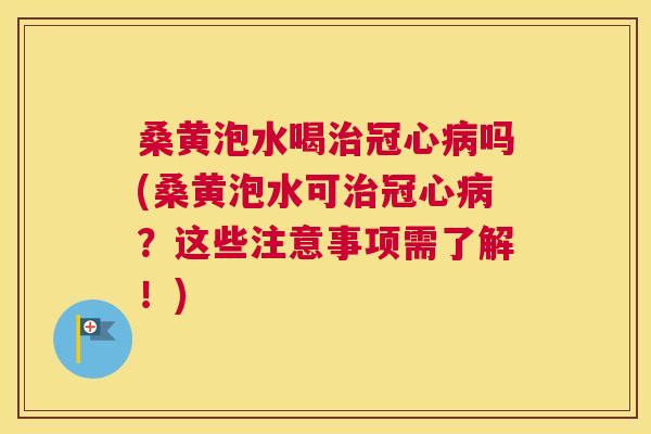 桑黄泡水喝吗(桑黄泡水可？这些注意事项需了解！)