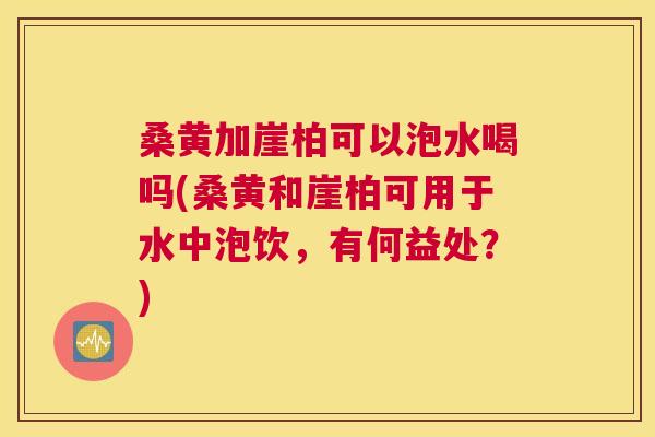 桑黄加崖柏可以泡水喝吗(桑黄和崖柏可用于水中泡饮,有何益处?) 桑黄加崖柏可以泡水喝吗(桑黄和崖柏可用于水中泡饮,有何益处?)