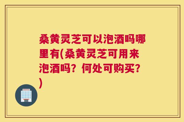 桑黄灵芝可以泡酒吗哪里有(桑黄灵芝可用来泡酒吗?何处可购买?) 桑黄灵芝可以泡酒吗哪里有(桑黄灵芝可用来泡酒吗?何处可购买?)