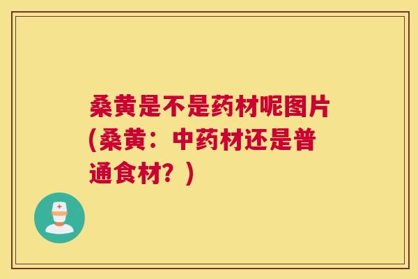 桑黄是不是药材呢图片(桑黄:材还是普通食材?) 桑黄是不是药材呢图片(桑黄:材还是普通食材?)