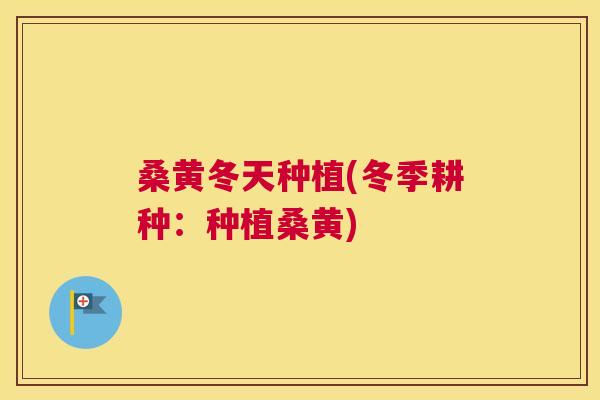 桑黄冬天种植(冬季耕种:种植桑黄) 桑黄冬天种植(冬季耕种:种植桑黄)