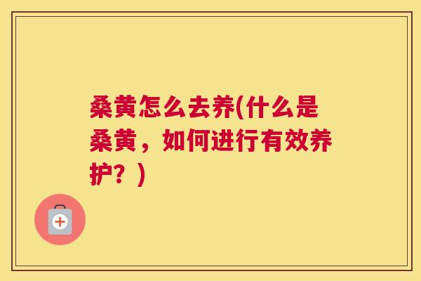 桑黄怎么去养(什么是桑黄,如何进行有效养护?) 桑黄怎么去养(什么是桑黄,如何进行有效养护?)