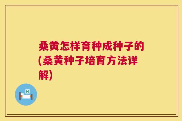 桑黄怎样育种成种子的(桑黄种子培育方法详解)