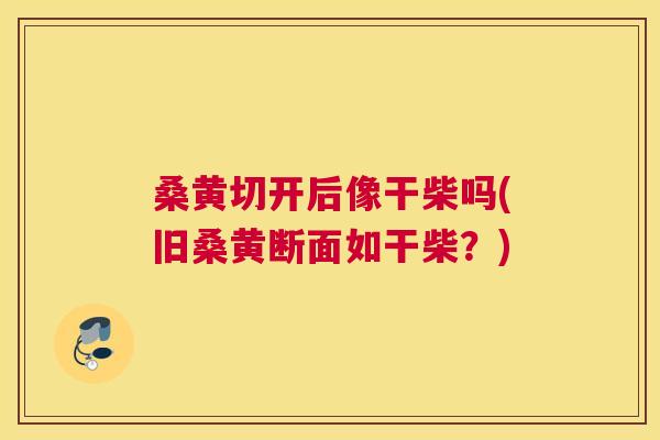 桑黄切开后像干柴吗(旧桑黄断面如干柴?) 桑黄切开后像干柴吗(旧桑黄断面如干柴?)