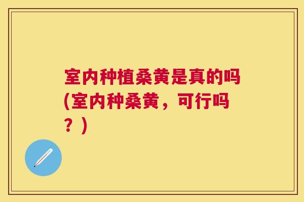 室内种植桑黄是真的吗(室内种桑黄,可行吗?) 室内种植桑黄是真的吗(室内种桑黄,可行吗?)