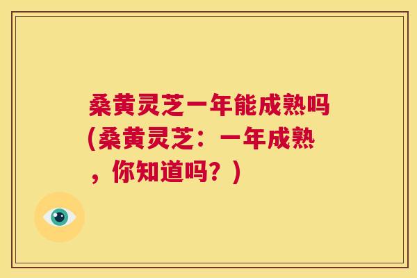 桑黄灵芝一年能成熟吗(桑黄灵芝:一年成熟,你知道吗?) 桑黄灵芝一年能成熟吗(桑黄灵芝:一年成熟,你知道吗?)