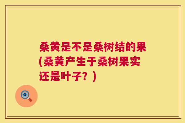 桑黄是不是桑树结的果(桑黄产生于桑树果实还是叶子?) 桑黄是不是桑树结的果(桑黄产生于桑树果实还是叶子?)