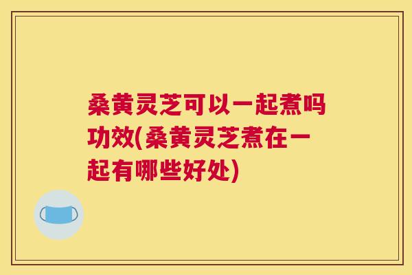 桑黄灵芝可以一起煮吗功效(桑黄灵芝煮在一起有哪些好处) 桑黄灵芝可以一起煮吗功效(桑黄灵芝煮在一起有哪些好处)