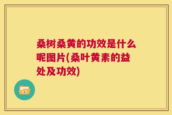 桑树桑黄的功效是什么呢图片(桑叶黄素的益处及功效)