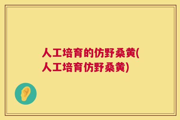 人工培育的仿野桑黄(人工培育仿野桑黄) 人工培育的仿野桑黄(人工培育仿野桑黄)