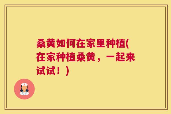 桑黄如何在家里种植(在家种植桑黄,一起来试试!) 桑黄如何在家里种植(在家种植桑黄,一起来试试!)