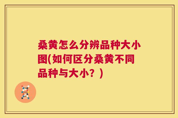 桑黄怎么分辨品种大小图(如何区分桑黄不同品种与大小?) 桑黄怎么分辨品种大小图(如何区分桑黄不同品种与大小?)