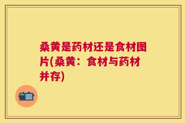 桑黄是药材还是食材图片(桑黄：食材与药材并存)