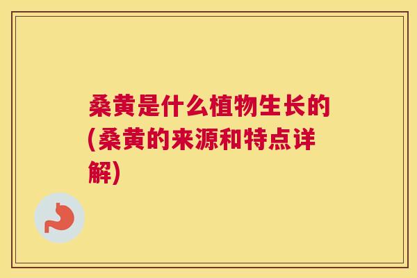 桑黄是什么植物生长的(桑黄的来源和特点详解) 桑黄是什么植物生长的(桑黄的来源和特点详解)