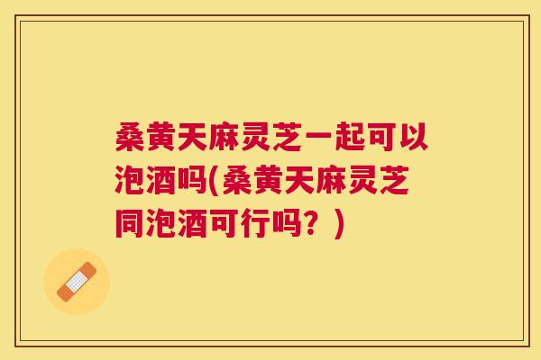桑黄天麻灵芝一起可以泡酒吗(桑黄天麻灵芝同泡酒可行吗?) 桑黄天麻灵芝一起可以泡酒吗(桑黄天麻灵芝同泡酒可行吗?)
