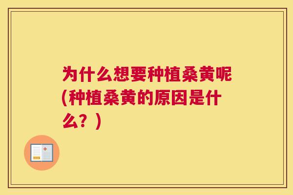 为什么想要种植桑黄呢(种植桑黄的原因是什么?) 为什么想要种植桑黄呢(种植桑黄的原因是什么?)