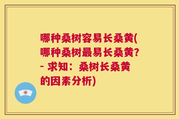 哪种桑树容易长桑黄(哪种桑树易长桑黄?- 求知:桑树长桑黄的因素分析) 哪种桑树容易长桑黄(哪种桑树易长桑黄?- 求知:桑树长桑黄的因素分析)