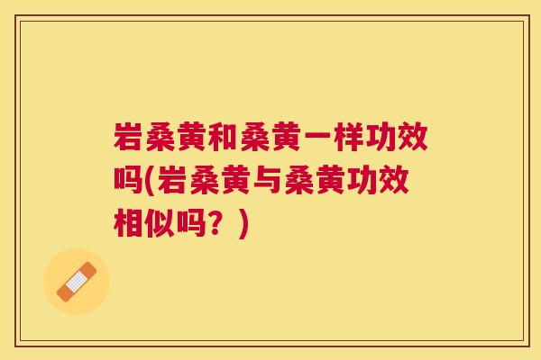 岩桑黄和桑黄一样功效吗(岩桑黄与桑黄功效相似吗?) 岩桑黄和桑黄一样功效吗(岩桑黄与桑黄功效相似吗?)