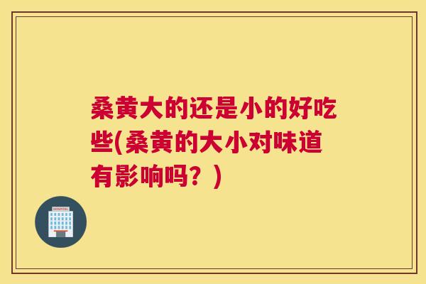 桑黄大的还是小的好吃些(桑黄的大小对味道有影响吗?) 桑黄大的还是小的好吃些(桑黄的大小对味道有影响吗?)