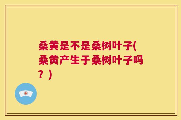 桑黄是不是桑树叶子(桑黄产生于桑树叶子吗?) 桑黄是不是桑树叶子(桑黄产生于桑树叶子吗?)