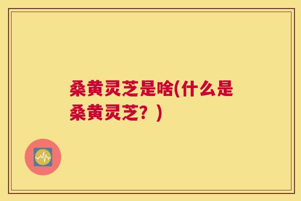 桑黄灵芝是啥(什么是桑黄灵芝?) 桑黄灵芝是啥(什么是桑黄灵芝?)